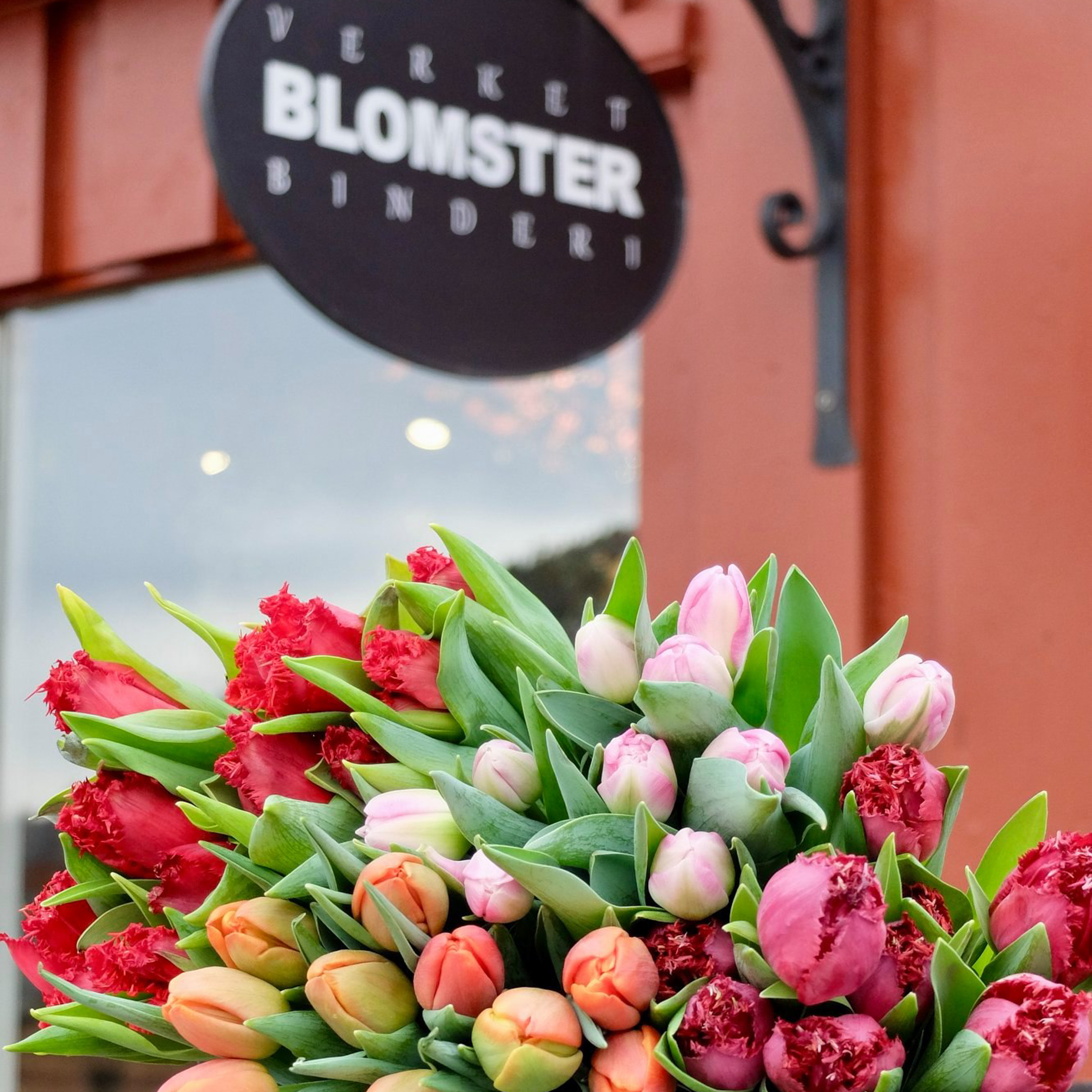 87960245_3244183798928554_7835749776615276544_n